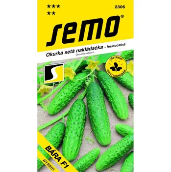 Travní směs Okurka nakládačka BÁRA F1