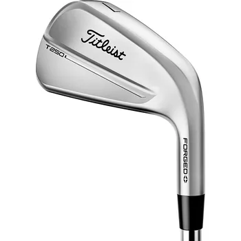 Golfová hůl Titleist T250 Irons Steel 2025 Regular, Pravá #5-PW,48, True Temper AMT Black, pánské
