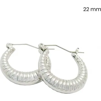 Náušnice Náušnice EXEED 22mm 23337800