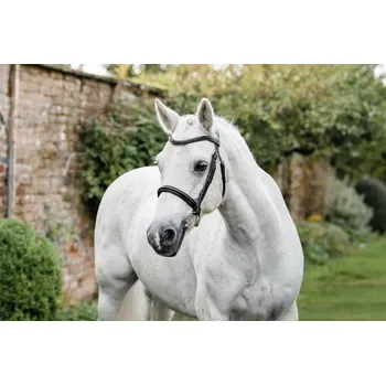 HORSEWARE Uzdečka Pony Cavesson Horseware, černá SHETTY