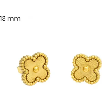 Náušnice Náušnice EXEED 24538502