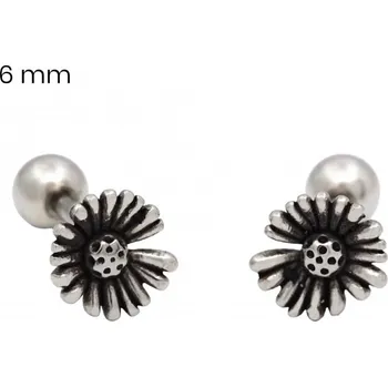 Náušnice Piercingové náušnice EXEED 24536201