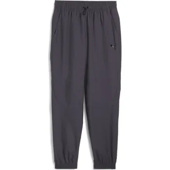 Tepláky Puma Silver Gray 8837668 L