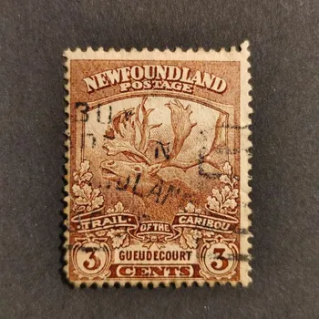 Sběratelství Známky Newfoundland, Mi.98 (SG 132)#, 1£