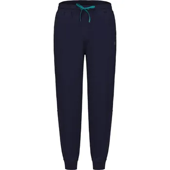 Oblečení a móda Tepláky Everlast Everglade 6826096 2XL