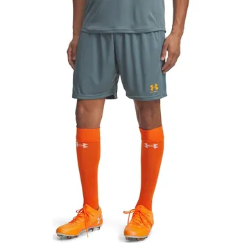 Kraťasy Under Armour Grey 3208790 S