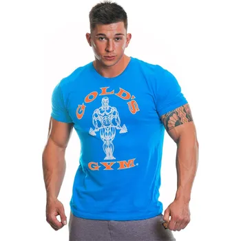 Pánské tričko Tričko Golds Gym Turquoise 5689764 Large