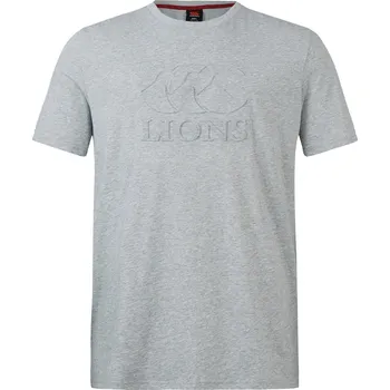 Pánské oblečení Tričko Canterbury Grey Marl 2471738 L