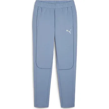 Tepláky Puma Blue 2066134 XL