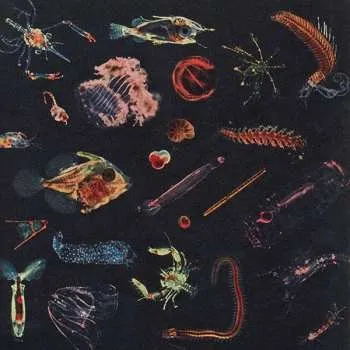 Zahraniční hudba CD Alessandro Fiori: Plancton 2021