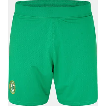 Pánské kraťasy Kraťasy Castore Green 3478571 L