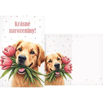 UNIPAP přání srdečné M11-583 H PRANI_H_698 593141