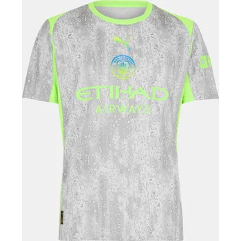 Manchester City Puma Grey 2069291 M