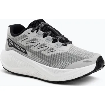 Dámská sportovní obuv Dámské běžecké boty Salomon Aero Blaze 3 GRVL lunar rock/white/black