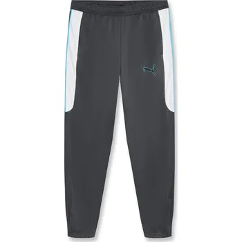 Tepláky Puma Grey 6780462 S