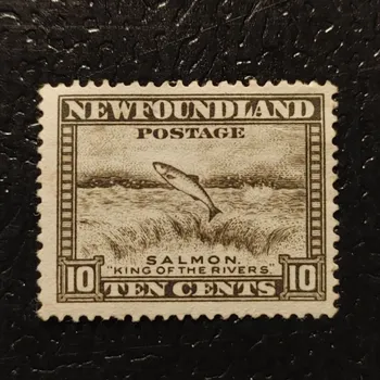 Sběratelství Známka Newfoundland, Mi.178 (SG 215)#, ½P