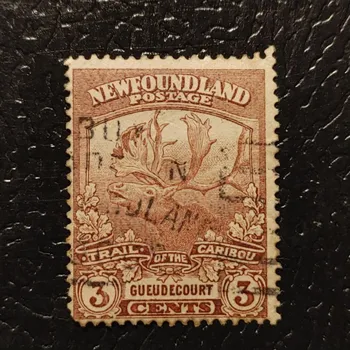 Sběratelství Známka Newfoundland, Mi.98 (SG 132)#, 1£