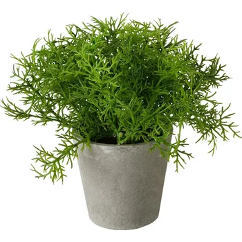 umělá květina Boltze Home Umělá rostlina v cementovém květináči, 17 cm, FERN