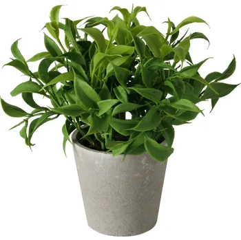 umělá květina Boltze Home Umělá rostlina v květináči, 17 cm, FERN