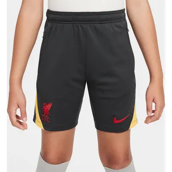 FC Liverpool Nike Grey 3843514 11-12 (L)