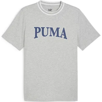 Pánské oblečení Tričko Puma Grey Heather 2474694 M