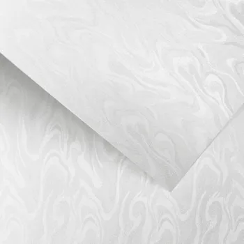 Papír Papír na vizitky A4 220g 201004 Papyrus bílý