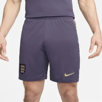 Kraťasy Nike Purple 7827652 L