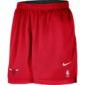 Kraťasy Nike Chicago Bulls 7992245 L