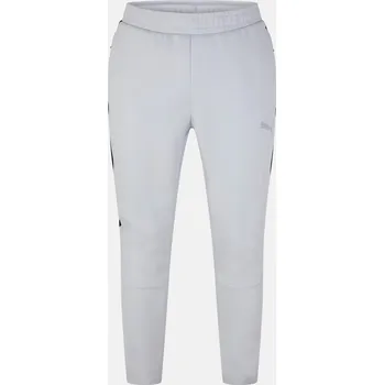 Tepláky Puma Cool Grey 3028534 S