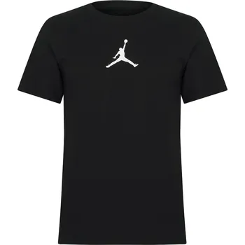 Pánské oblečení Tričko Air Jordan Black 386596 XL
