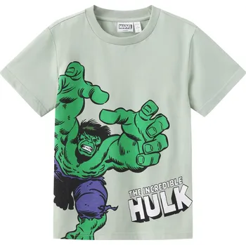 Chlapecké tričko Tričko Character Hulk 3624561 2-3 Yrs