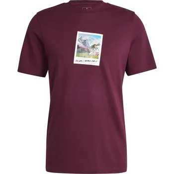 Pánské tričko Tričko adidas Burgundy 1610795 S