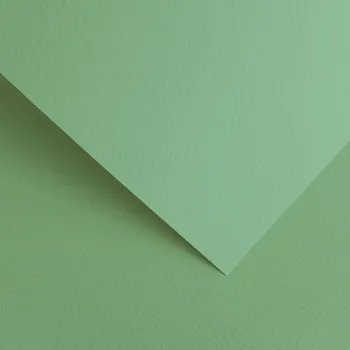 Vizitkový papír Papír na vizitky A4 220g 204816 Savana, šalvějový