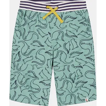 Chlapecké kraťasy Lilly and Sid Green 8807433 7-8 Years