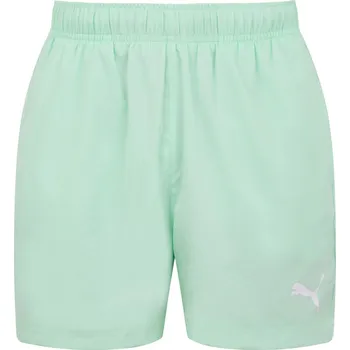 Pánské oblečení Kraťasy Puma Fresh Mint 9253584 S