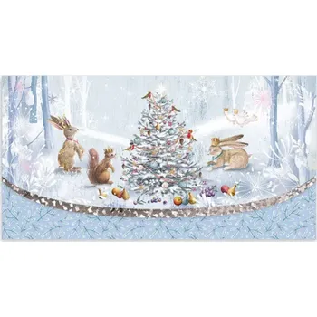 Obálka Vánoční obálka na voucher - 91-6011