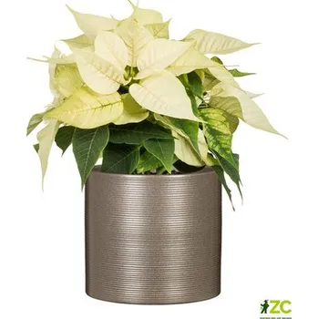 Obal na květináč Obal 828 Magic Gold mat 16