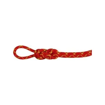 Horolezectví Mammut 8.0 Alpine Core Protect Dry Rope 3788 fire-halo červená 60 m
