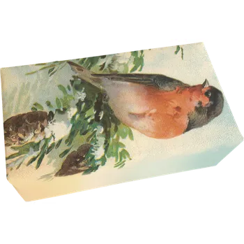 Mýdlo Dárkové mýdlo Bullfinch 200 g