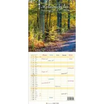 Kalendář Kalendarz 2026 wieloplanszowy wąski - Malowniczy..