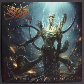 Hudba The Disfigurement of Existence Signs Of The Swarm Vinylová Deska