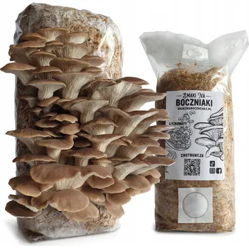 Substrát Hlíva ústřičná - připravený substrát pro pěstování od Smaki Na Boczniaki