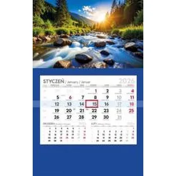 Kalendář Kalendarz 2026 jednodzielny Lux MIX (pl, 2025, Parma Press)