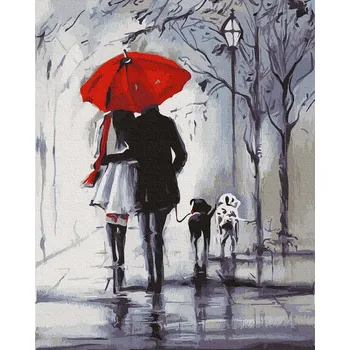 Malování podle čísel iPicasso 40x50 cm na rámu