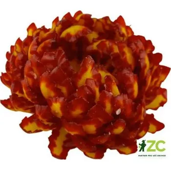 umělá květina Slaměnka vosková Barva: žlutohnědá