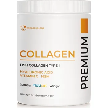 Kloubní výživa Progress Kolagen Premium 10 000 mg HA MSM vit C podporuje pleť a klouby 400 g