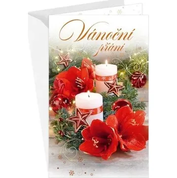 Vánoční přání s kapsou na peníze - 11-6526c