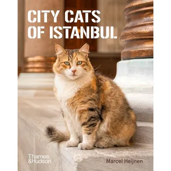 Cizojazyčná kniha City Cats of Istanbul