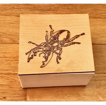 Dárková krabička Krabička na životní cyklus- brouk Roháč