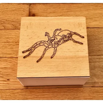 Dárková krabička Krabička na životní cyklus - Pavouka